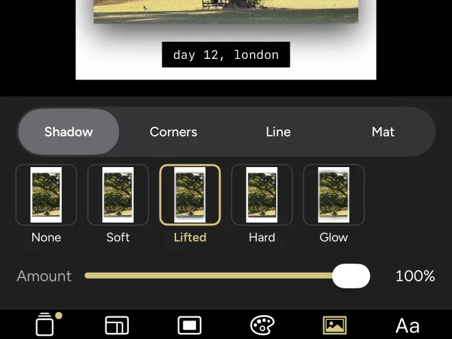 The shadow options, with Lifted at 100%